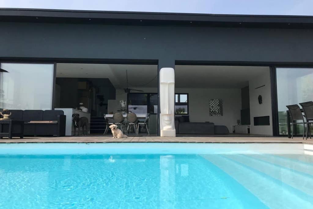 Le Luxury Apartment Séné Exterior foto